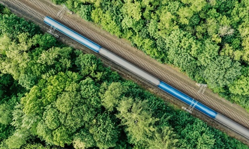 train passing through trees